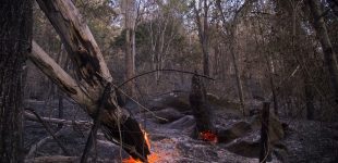 Nervous wait for Qlders in bushfire zones